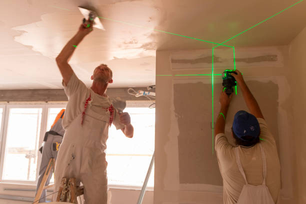 Best Basement Mold Removal  in Woodbine, GA