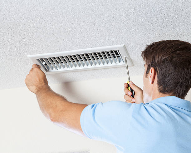 Best Environmental Consulting for Mold Prevention  in Woodbine, GA