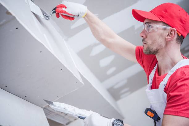 Professional Mold Removal in Woodbine, GA
